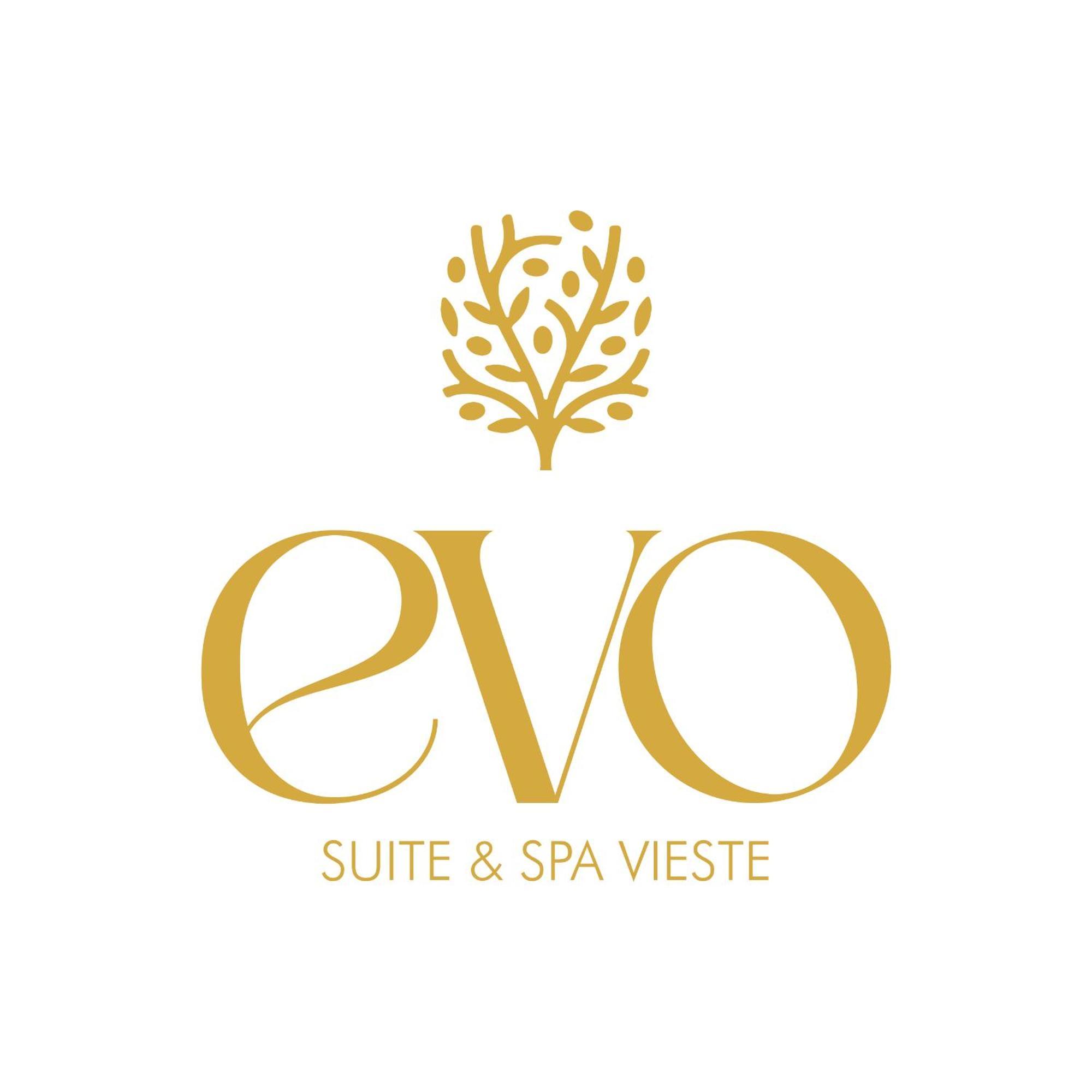 Evo Suite & Spa 维耶斯泰 外观 照片