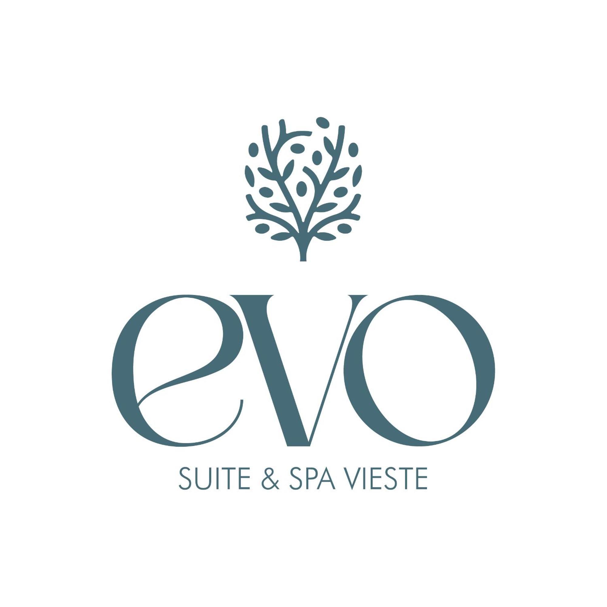 Evo Suite & Spa 维耶斯泰 外观 照片